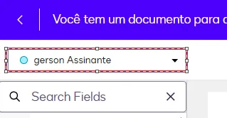 Seleção de Participantes no DocuSign